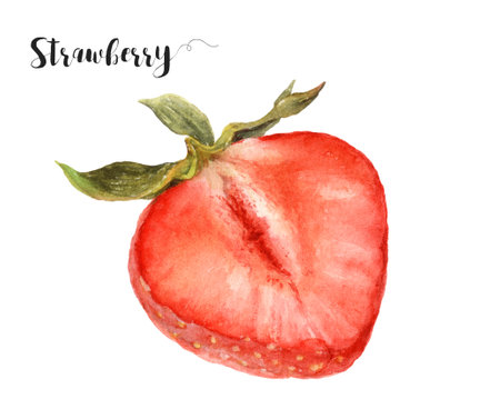 Watercolor illustration of strawberry close up. A hand-drawn painting.の写真素材