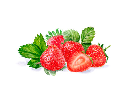 A bunch of fresh and juicy watercolor strawberries with leaves, isolated on a white backgroundの写真素材