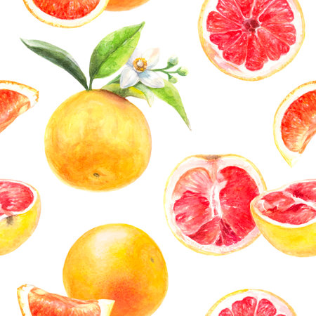 Seamless watercolor pattern of grapefruit, ideal for fresh and vibrant healthy designsの写真素材