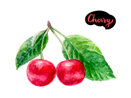 Watercolor Cherry Illustration Great for stationery, decor, gifting. Handdrawn, realistic designの写真素材