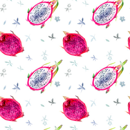 Dragon Fruit Design with Floral Elements is a watercolor illustration with botanical flair and fresh appealの写真素材