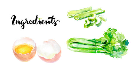 Watercolor illustration of fresh Egg, Celery, and Cucumber, handdrawn in a colorful styleの写真素材