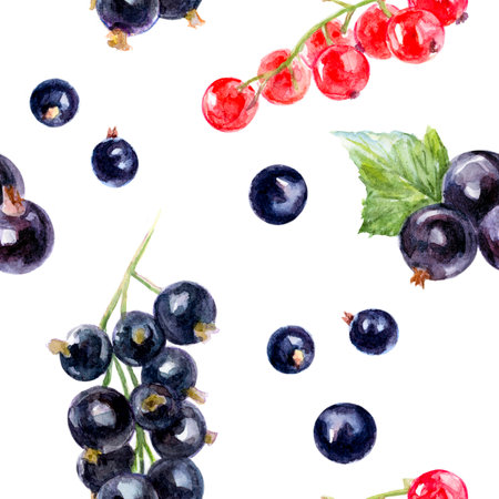 Seamless Watercolor Pattern of Red and Black Currants on White Background Decorative, Fresh, Beautiful Designの写真素材