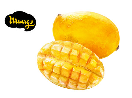 Freshly sliced mango, juicy and ripe, is a delicious and nutritious treat, perfect for summerの写真素材