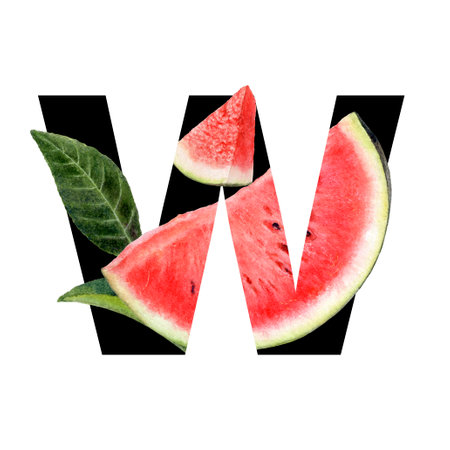 Logo withwatercolor illustration watermelon design and letter W, great for healthy and fresh food conceptsの写真素材