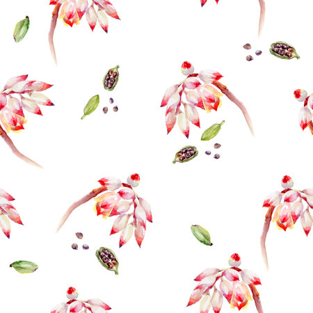 Watercolor style with elegant floral and spice motifs, perfect for aesthetic and decorative designsの写真素材