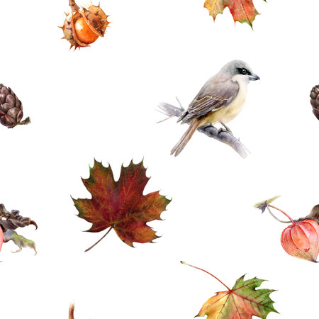 Autumn Watercolor Pattern with Fall Leaves, Bird, Pine Cones, and Nuts Seamless Design for seasonal decorの写真素材