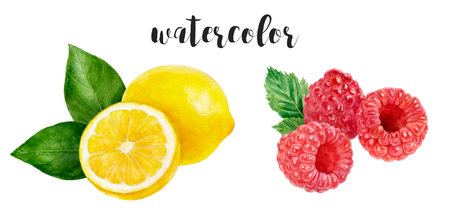 Stunning and Vibrant Watercolor Illustration of Fruits Lemon and Juicy Raspberriesの写真素材