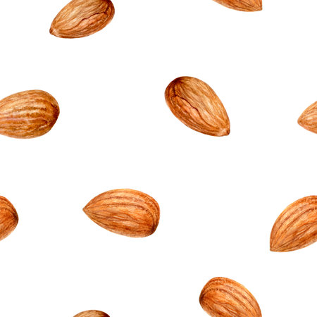 Watercolor pattern with almonds and leaves on white background, for agriculture and food projectsの写真素材