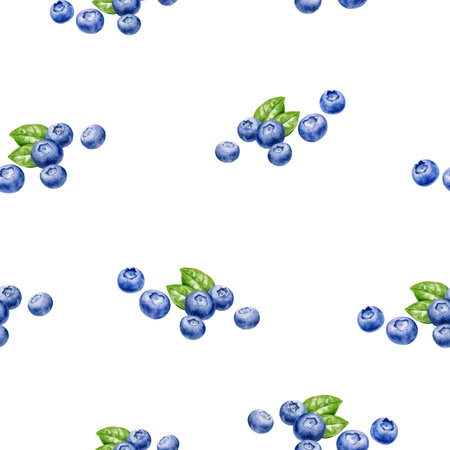 Blueberry clusters and leaves watercolor pattern on white background, ideal for art and design projectsの写真素材