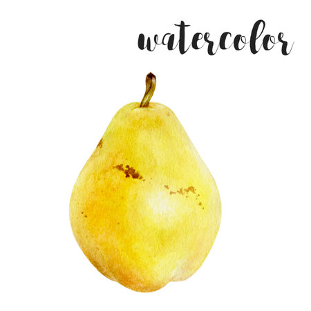 Beautiful Watercolor Illustrations of Fresh and Juicy Pear A visual delight for art loversの写真素材