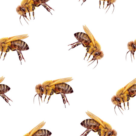Seamless Watercolor Bee Pattern on White Backgroundの写真素材