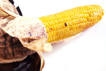 Grilled corn cobs on white backgroundの写真素材