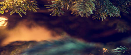 pine tree background banner Christmas wallpaper concept. Copy space.