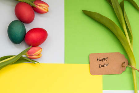 Easter eggs painted and tulips with yellow green background and text happy easterの写真素材