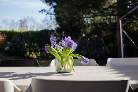 bunch of purple flowers in vase on garden table, colorful sunny garden