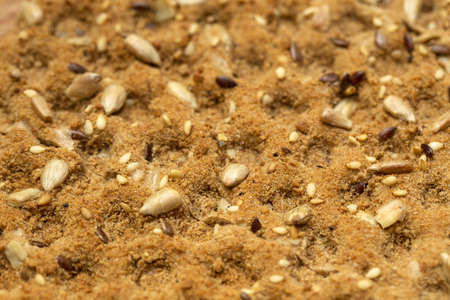 Whole Grain crackers close-up , healthy food, diet