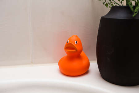 Rubber duck in the bathroom orange colorの写真素材