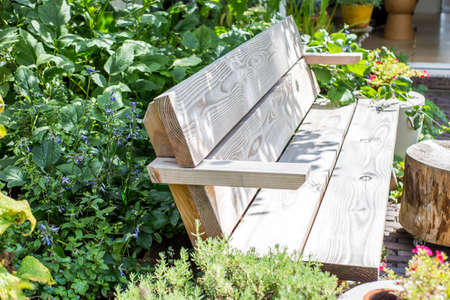 Wooden Bench in a wildflower garden. with green plants and colorful flowers with sunlight