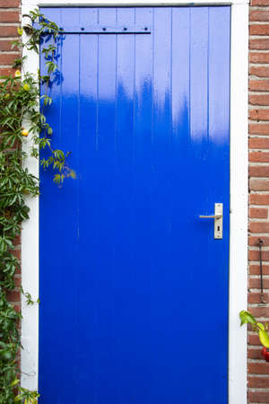 Blue wooden door with a green plant hanging, shed door close-upの写真素材
