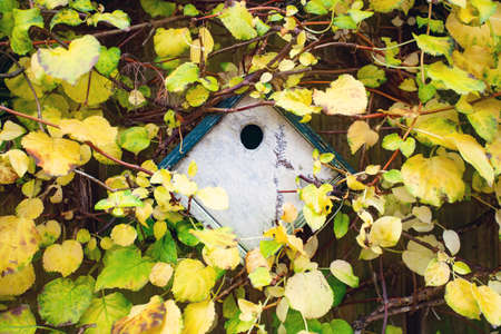 birdhouse on a wooden fence surrounded by yellow leaves, Concept of approach of spring, summer, birds arrival, spring mood background textureの写真素材
