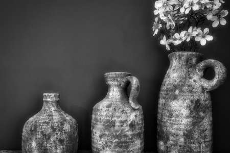 White flowers in concrete rustic pots near dark grey wall, modern design retro black and whiteの写真素材