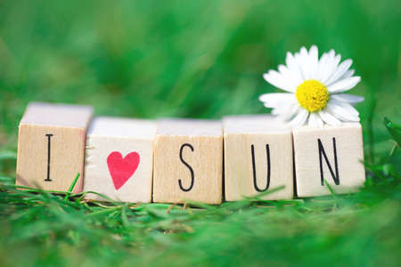Wooden cubes with the words I Love Sun in bright green grass and a white Daisy, summer concept beautiful nature backgroundの写真素材
