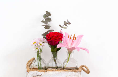 Collections of summer flowers in little glass vases near white wall, bright fresh red rose, pink...