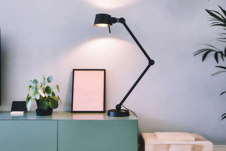 Stylish modern interior, empty picture frame with black lamp and green Chinese Money plant, retro...