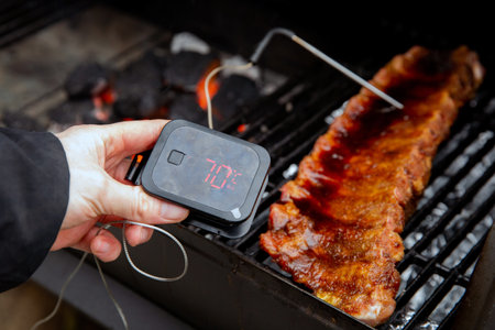 Digital Thermometer BBQ, grill, barbecue for beaf steak and spare rib ant other meat. measuring...