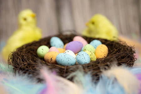 Easter eggs in a birds nest pastel colores, Easter, spring, Nature concept background on the...