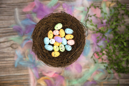 Colorful bright easter eggs in bird nest with Pastel colored feathers and wooden background texture...