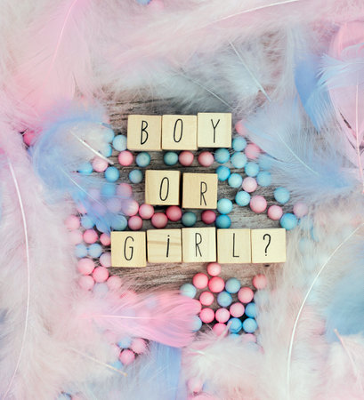 Boy or Girl text surrounded with pastel colored feathers, Gender reveal gathering party concept. Baby announcement. Flat lay, text space. background texture greeting cardの写真素材