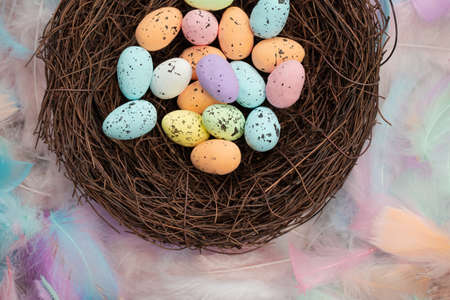 Colorful pastel colored easter eggs in birds nest top view with bright feasthers top view, April,...