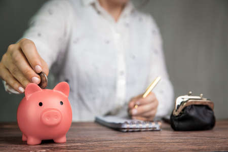 Female business woman doing administration, counting and saving money with pink piggy bank,...
