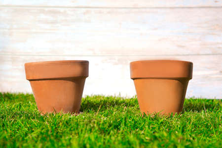 Two Flower pot empty in fresh bright green grass with wooden background for garden,greenery,spring,potting concept background copy spaceの写真素材