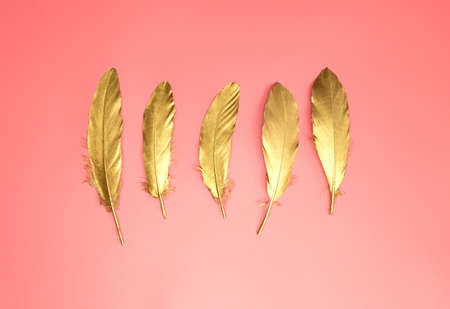 Gold shiny feathers in a row on pastel pink background, Flat lay, retro, modern, colorful stylish concept top view. design element wallpaper copy space bright fresh colorの写真素材