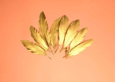 Set of luxury gold shiny feathers on orange peach background top view modern design with copy space, decorative fantasy bird beauty colorsの写真素材