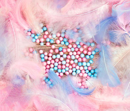 Blue and Pink feathers texture in pastel color, beautiful abstract soft bright colors background modern design top viewの写真素材