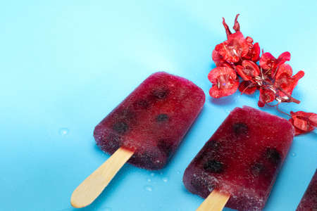 Homemade healthy blueberry ice lolly on fresh blue background, summer design with copy space...