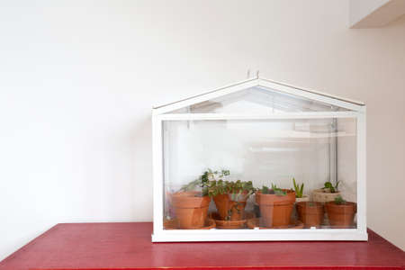 Small greenhouse, terrarium for self ecosystem green house plants, modern decoration, bontanical grow indoors with copy spaceの写真素材