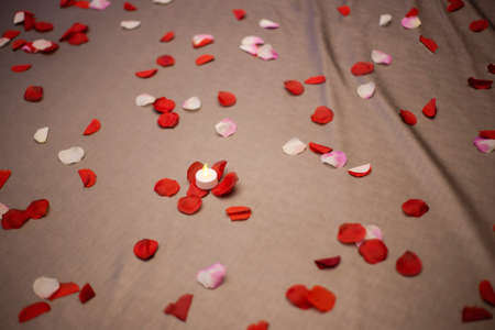 Romantic room setting with rose petals filled bed and pillows sensual silk, Honeymoon, Valentines Dayの写真素材