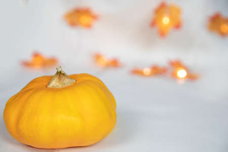 Autumn border arrangement of orange pumpkin and colorful leaves with bokeh lights a off white background, bright modern decoration, copy space space for textの写真素材