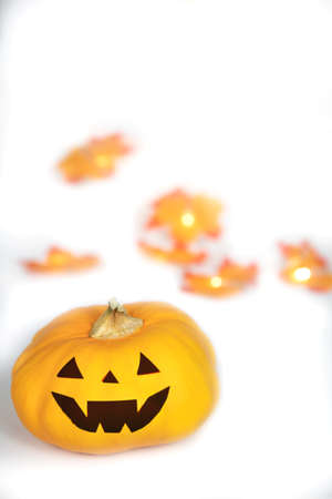 Halloween Jack O Lantern with autumn foliage isolated on white background, Pumpkin head on coloful leaves, spooky smile with copy spaceの写真素材