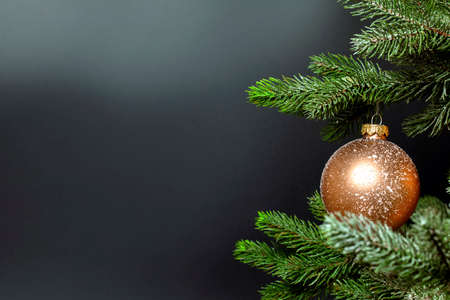 One single Christmas bauble hanging on fresh green branch of Christmas tree near dark black...