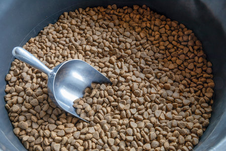 Dried dog food in bowl, top view with scoop. cap concept background close up