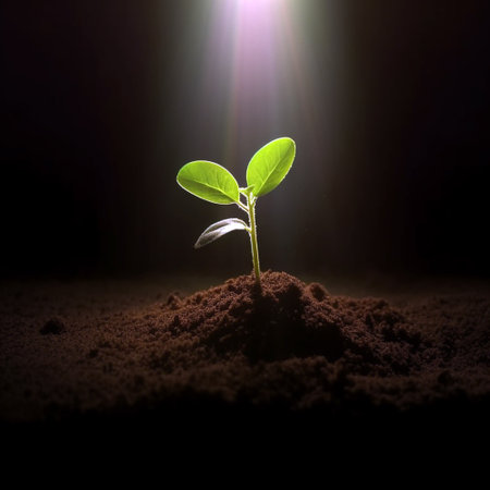 Seedling are growing from the rich soil to the morning sunlight that is shining, ecology concept. black background, new life concept, young plant growth in dirt copy space space for textの素材