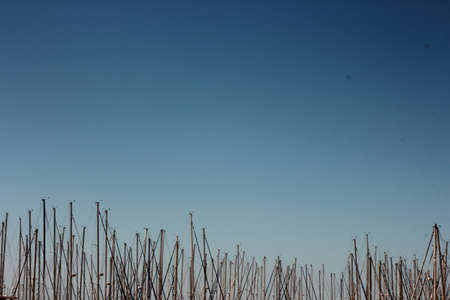 Boatsの写真素材