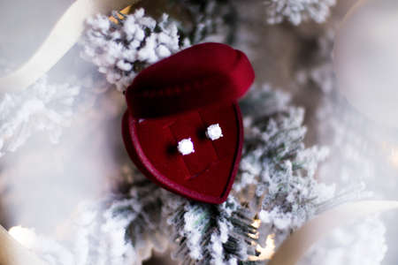 Elegant dimond jewellery, a perfect holiday gift for her on Christmasの写真素材