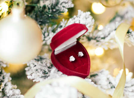 Elegant dimond jewellery, a perfect holiday gift for her on Christmas